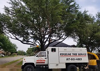 Fort Worth Tree Services Ridgeline Tree Services