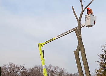 Peoria Tree Services Right Way Tree & Outdoor Services