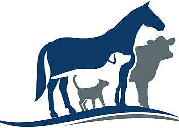 Rio Grande Veterinary Clinic - Laredo, TX Veterinary Clinics - Clinic Logo