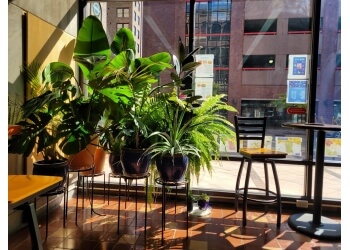 Ripe Life Juice Co. - Rockford, IL Smoothie and Juice Bars - Juice Bar Image