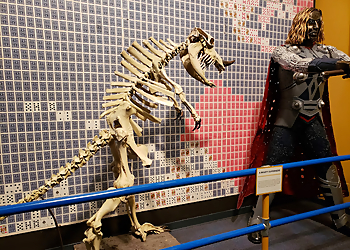 Orlando Landmarks Ripley's Believe It or Not!