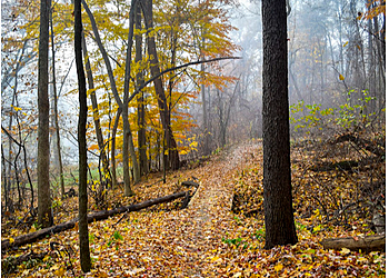 Sterling Heights Hiking Trails River Bends Park