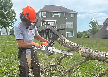 Rochester Landscaping Companies River Bluff Landscaping