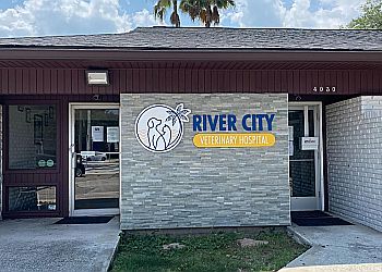 Jacksonville veterinary clinic River City Veterinary Hospital