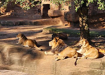 Columbia Places To See Riverbanks Zoo & Garden