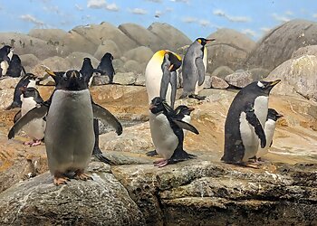 Columbia Places To See Riverbanks Zoo & Garden