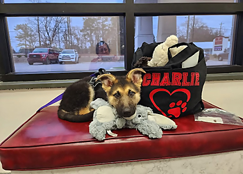 Fayetteville Veterinary Clinics Riverbark Veterinary Hospital