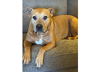 Fayetteville Veterinary Clinics Riverbark Veterinary Hospital