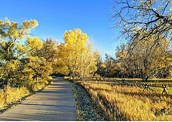 Riverbend Ponds Natural Area Fort Collins Hiking Trails image 1