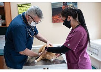 Coral Springs Veterinary Clinics Riverside Animal Hospital