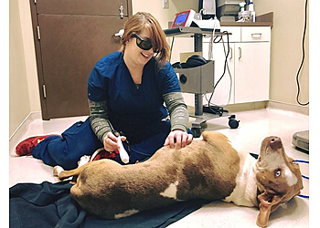 Birmingham Veterinary Clinics Riverview Animal Clinic