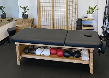 Berkeley Physical Therapists Rob Lin, PT, DPT, CSCS - THE TECHNIQUE PHYSICAL THERAPY