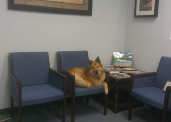 Huntington Beach Bankruptcy Lawyers Robert P. Taylor - AFFORDABLE ATTORNEYS GROUP