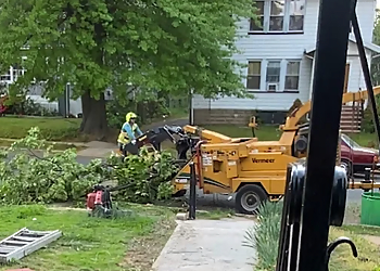 Robert Tree Services - Newark, NJ Tree Services - Service Image