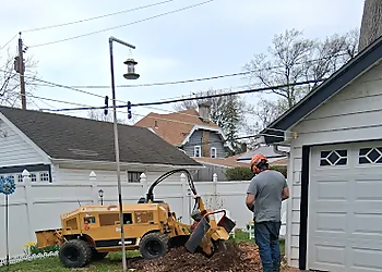 Robert Tree Services - Newark, NJ Tree Services - Outdoor Work Image