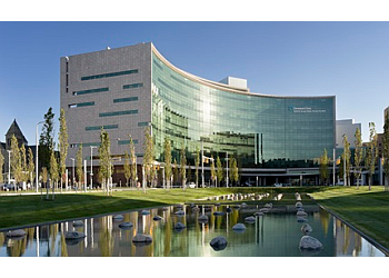 Cleveland Endocrinologists Robert Zimmerman, MD - CLEVELAND CLINIC MAIN CAMPUS