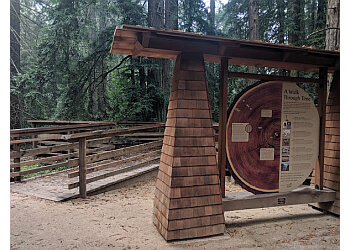 Oakland Public Parks Roberts Regional Recreation Area