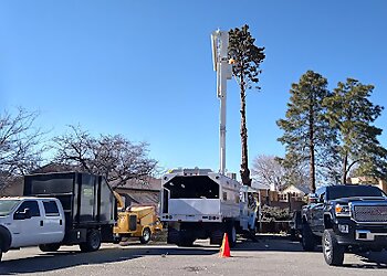 Albuquerque Tree Services Robert's Tree & Hauling Service