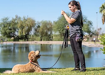 Glendale Dog Training Rob's Dogs (Dog Training)