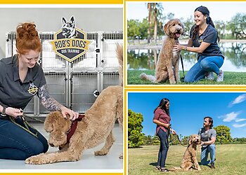 Glendale Dog Training Rob's Dogs (Dog Training)