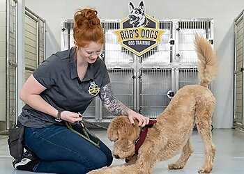 Phoenix Dog Training Rob's Dogs LLC