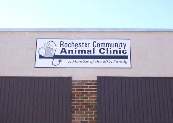 Rochester Community Animal Clinic Rochester Veterinary Clinics