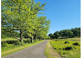 Yonkers Hiking Trails Rockefeller State Park Preserve
