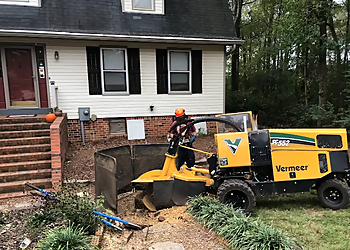 Rocket City Tree Service - Huntsville, AL Tree Services - Maintenance Service Image