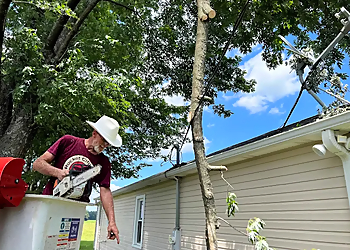 Rocket City Tree Service - Huntsville, AL Tree Services - Service Highlights