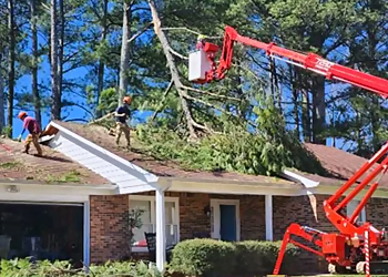 Rocket City Tree Service - Huntsville, AL Tree Services - Service Image