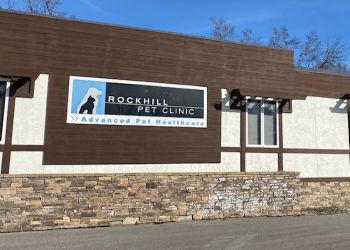 Rockhill Pet Clinic Kansas City Veterinary Clinics