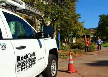 Rock's Tree & Hillside Service Inc Burbank Tree Services