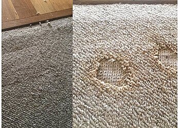 Norman Carpet Cleaners Rocky Mountain Carpet and Tile Cleaning