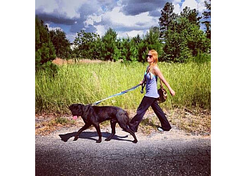Colorado Springs dog walker Rocky Mountain Dog Walkers
