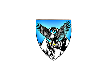 Rocky Mountain Eagle Eye, LLC - Aurora, CO Private Investigation Service - Company Logo