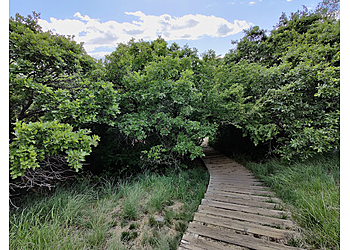 West Jordan Hiking Trails Rocky Mouth Trail Head