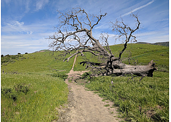 Simi Valley Hiking Trails Rocky Peak Park
