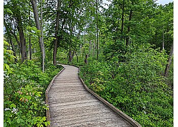 Cleveland Hiking Trails Rocky River Reservation