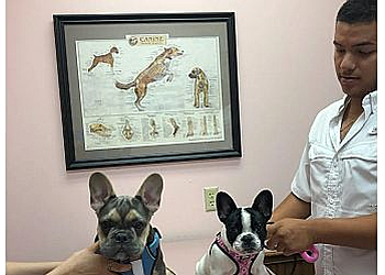 Mesquite Veterinary Clinics Rodeo Drive Veterinary Hospital