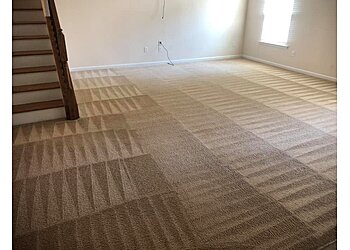 Newport News Carpet Cleaners Rodney's Carpet Cleaning