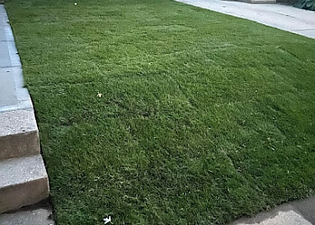 Milwaukee Landscaping Companies Rodriguez Landscape Company, Inc.