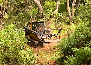 Salinas Tree Services Rodriguez Tree Service LLC