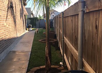 Laredo Landscaping Companies Roman Landscaping