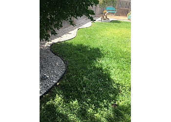 Romans Landscaping  Laredo Lawn Care Services