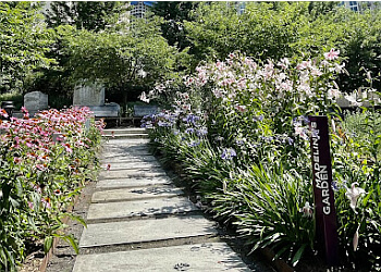 Charlotte Public Parks Romare Bearden Park