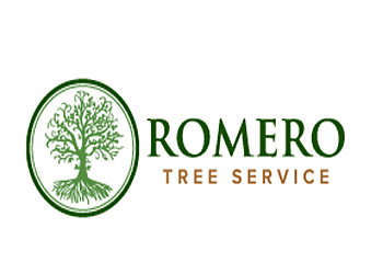 Wichita Falls Tree Services Romero Tree Service