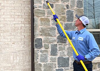 Frisco Pest Control Companies Romex Pest Control