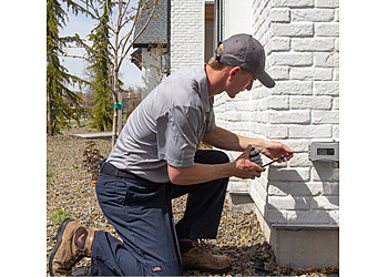 Romney Pest Control - McKinney, TX Pest Control Companies