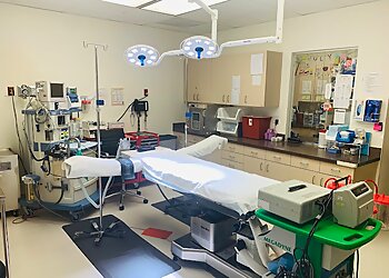 Plano Plastic Surgeon Ronald M. Friedman, MD, PA