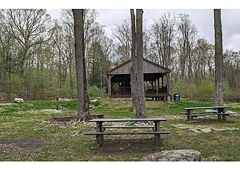 Bridgeport Hiking Trails Roosevelt Forest
